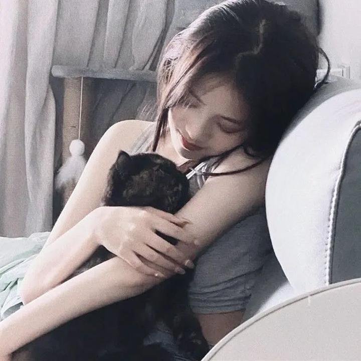 庇护 在线观看