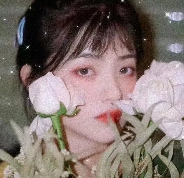 白色堡垒 在线观看